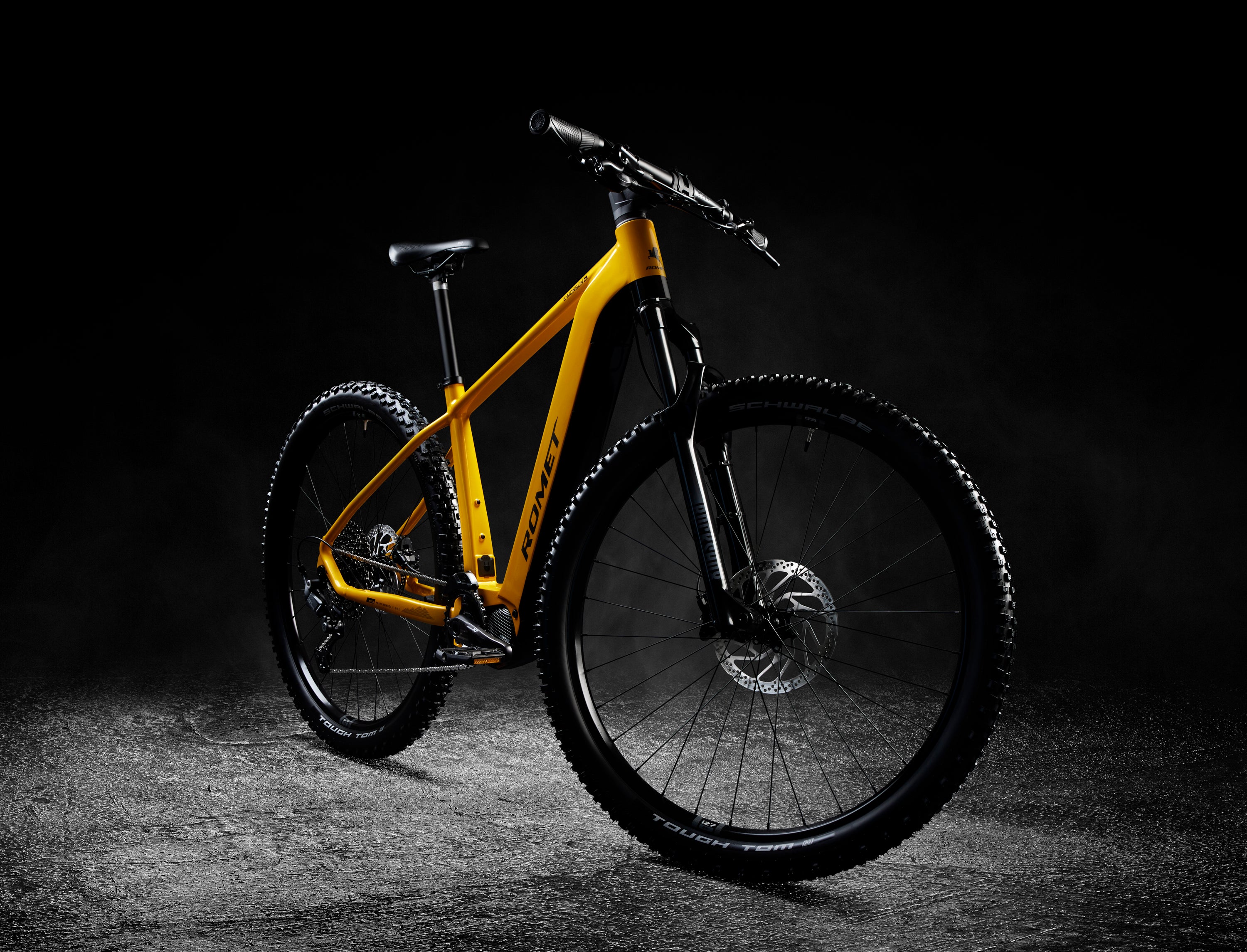 Bicicleta eléctrica ROMET E-MONSUN 1.0 725WH