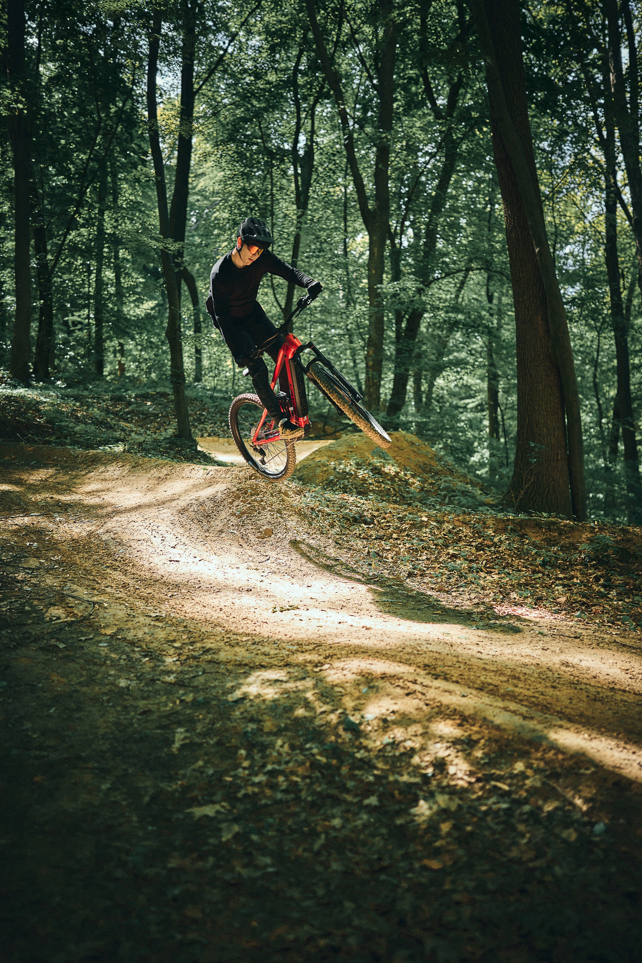 Bicicleta eléctrica ROMET E-DAGGER 2.0 800WH
