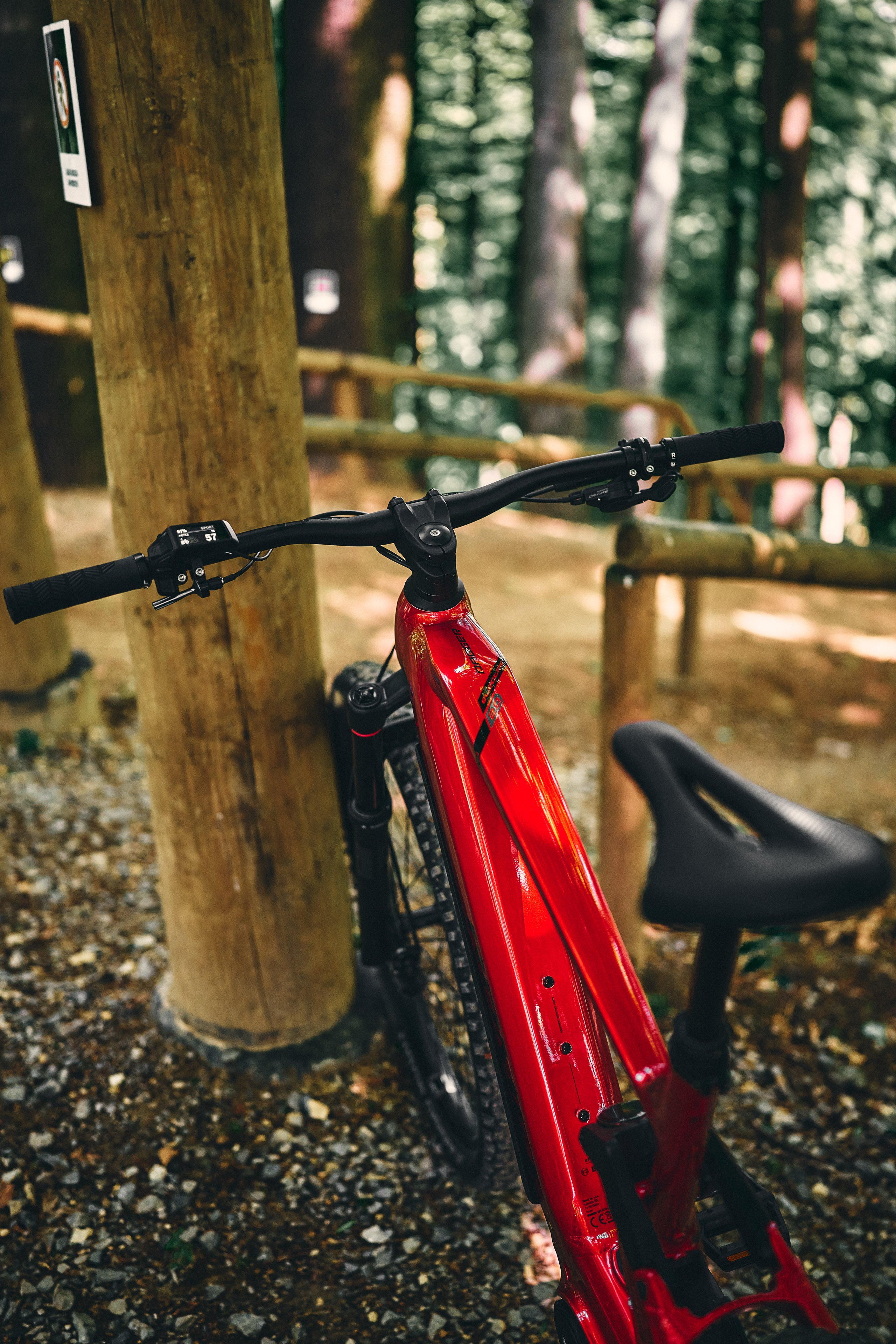 Bicicleta eléctrica ROMET E-DAGGER 2.0 800WH