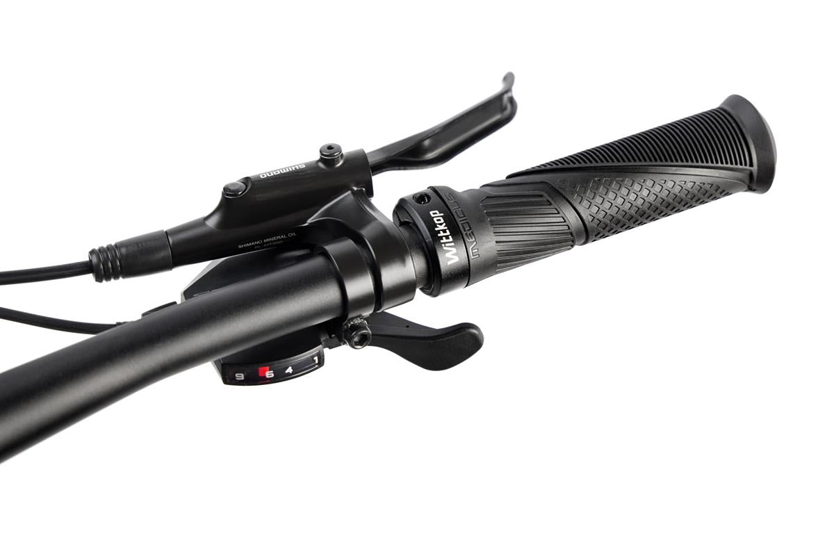 Bicicleta eléctrica ROMET E-MUSTANG 1.0 540WH