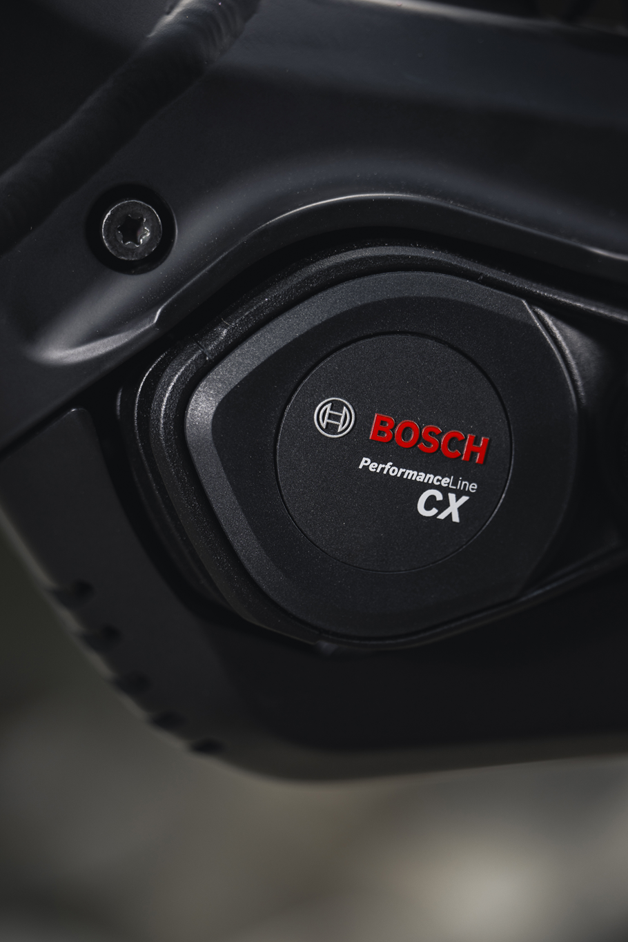 Bicicleta eléctrica ROMET E-DAGGER 2.0 EXP 800WH