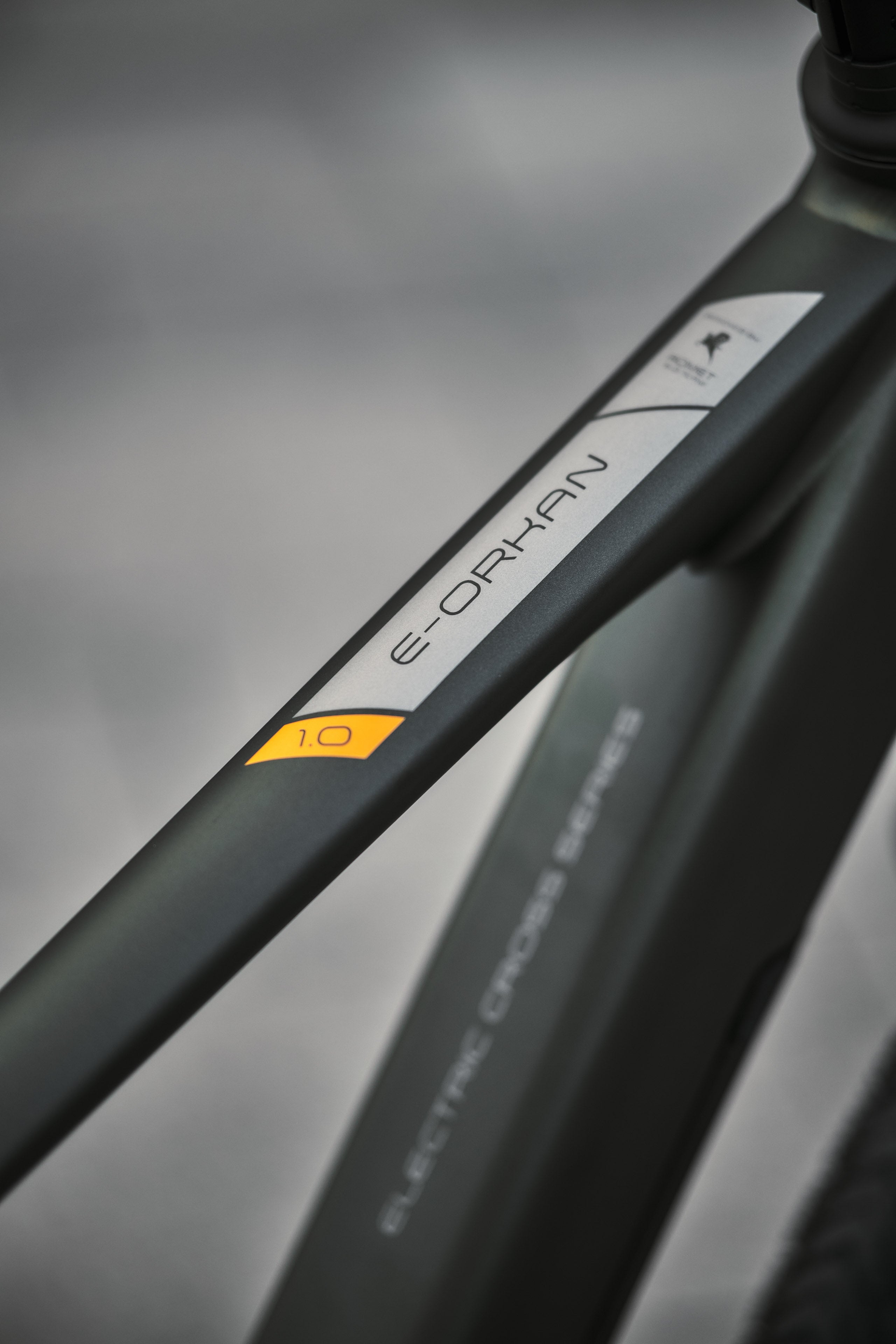 Bicicleta eléctrica ROMET E-ORKAN M 1.0 504WH 2024