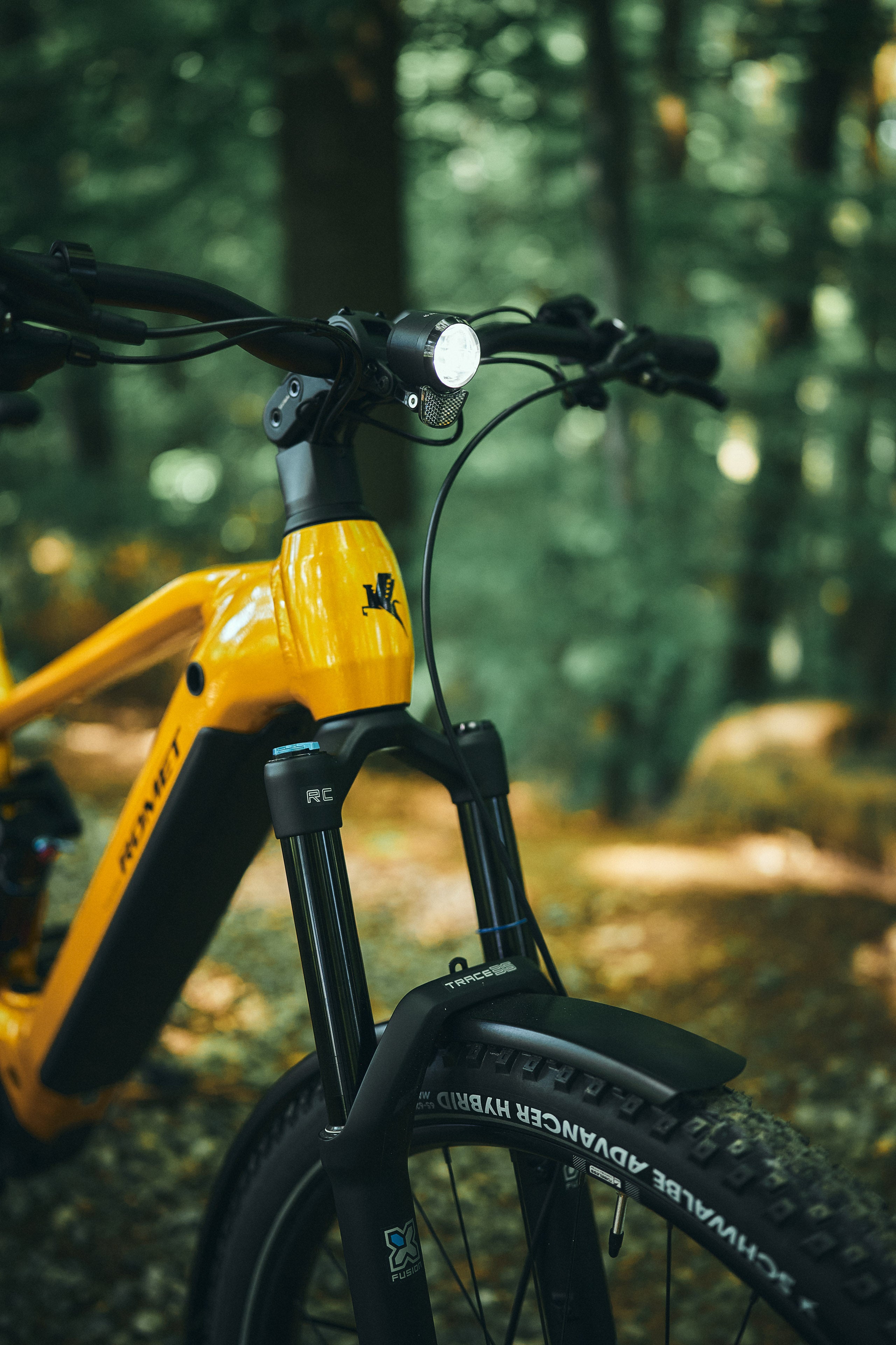 Bicicleta eléctrica ROMET E-DAGGER 2.0 EXP 800WH