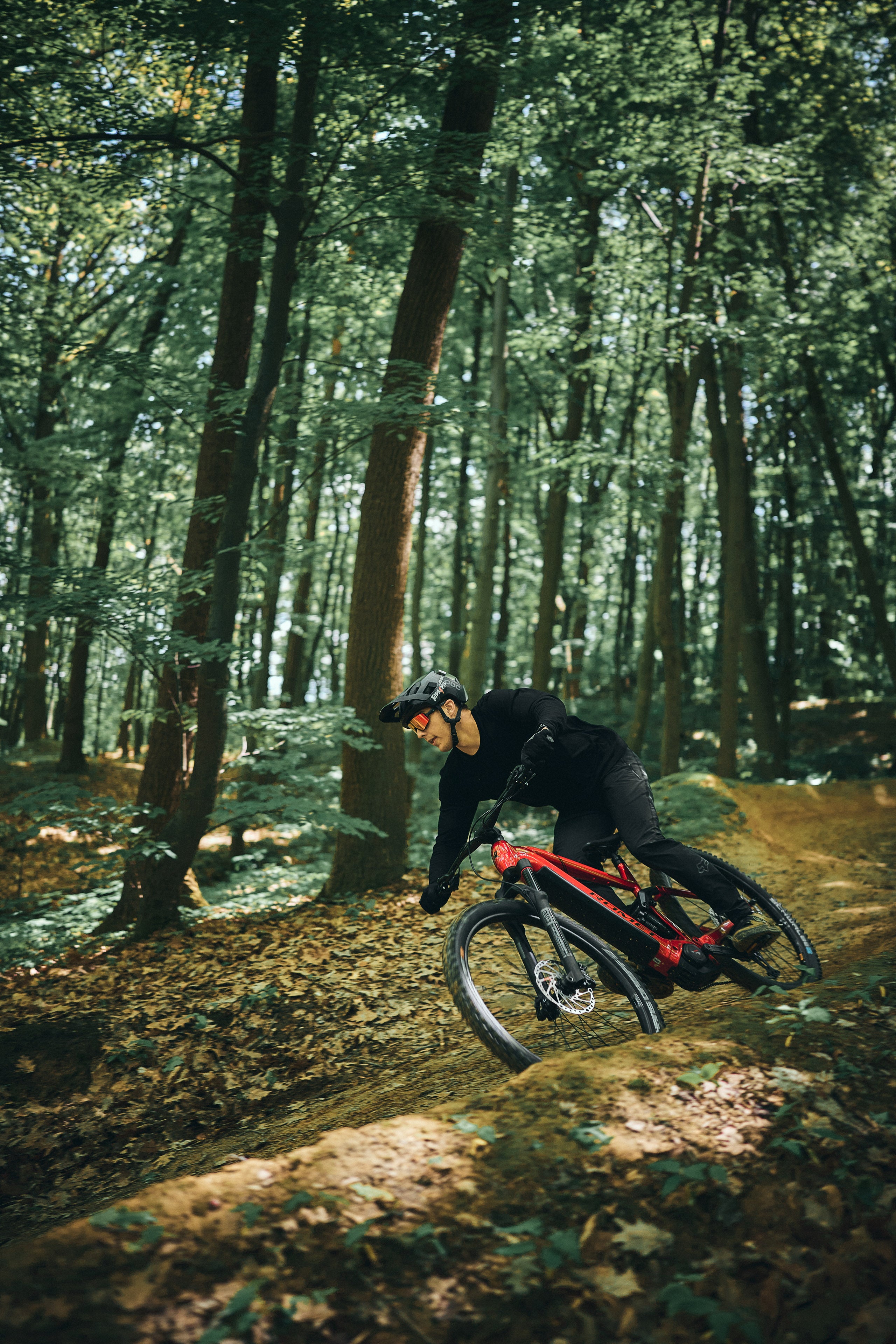 Bicicleta eléctrica ROMET E-DAGGER 2.0 800WH