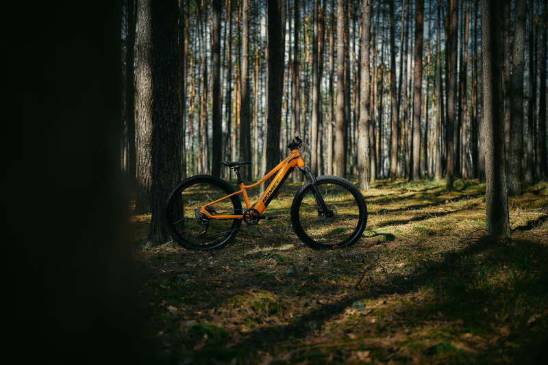 Bicicleta eléctrica ROMET E-RAMBLER JR 26 1.0 AN 504WH