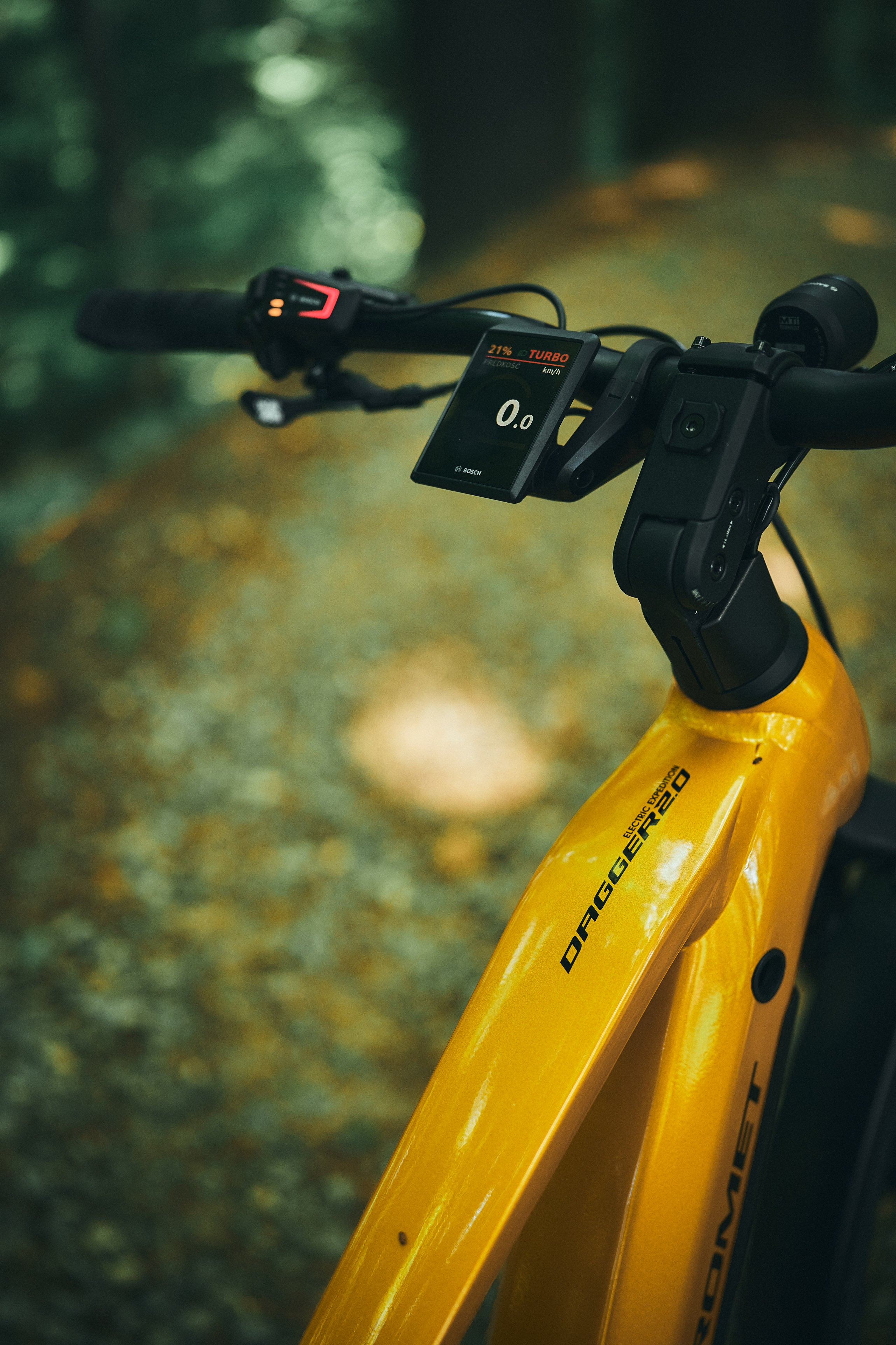 Bicicleta eléctrica ROMET E-DAGGER 2.0 EXP 800WH